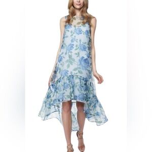 Erin Fetherston New Floral Hydrangea Trianon Maxi Dress Size 8
